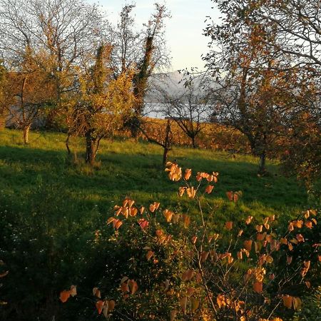Haus Meersburg Garten المظهر الخارجي الصورة