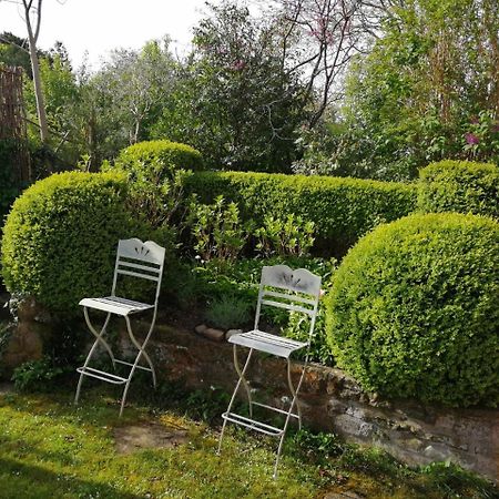 Haus Meersburg Garten المظهر الخارجي الصورة