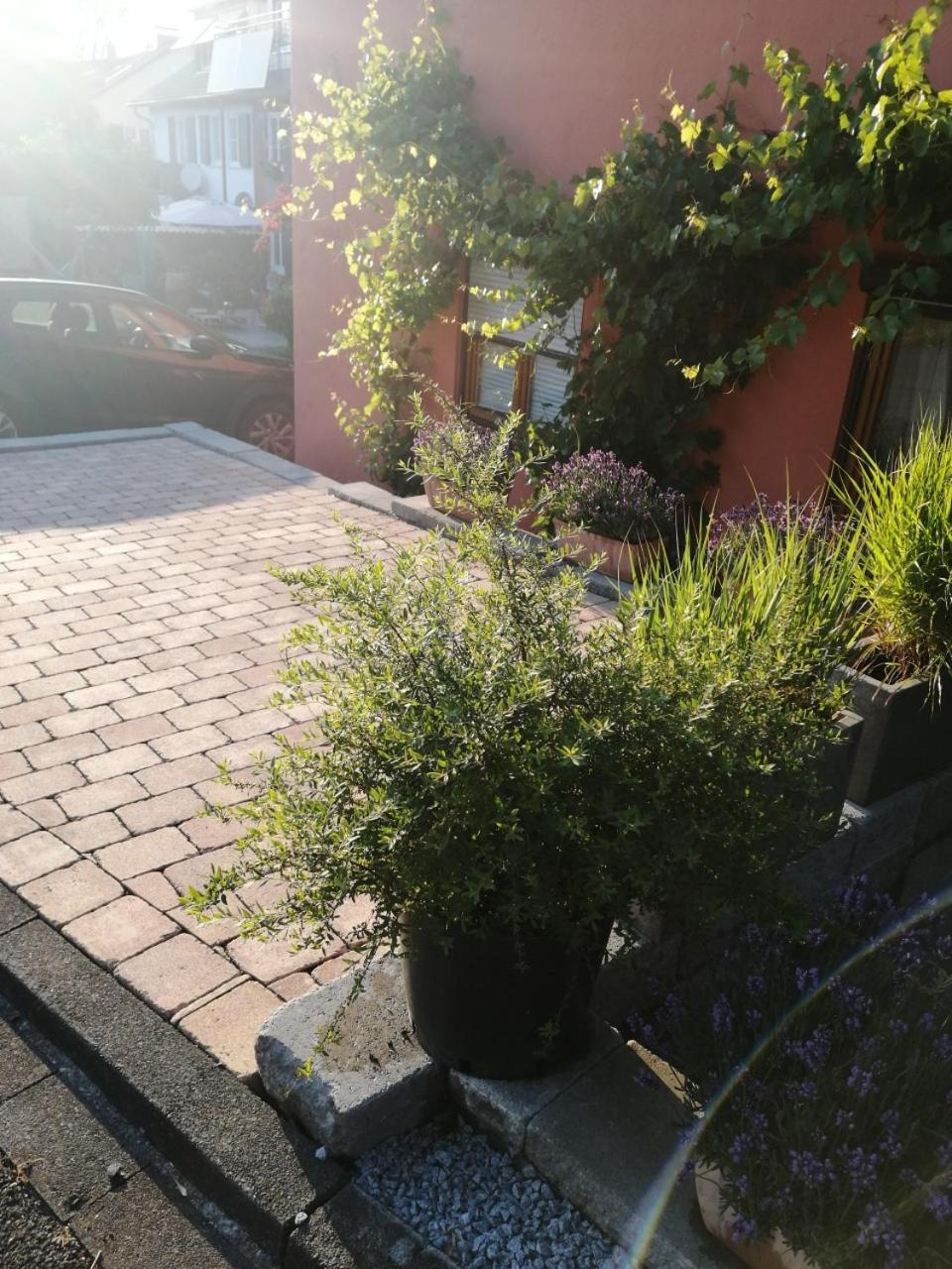 Haus Meersburg Garten المظهر الخارجي الصورة