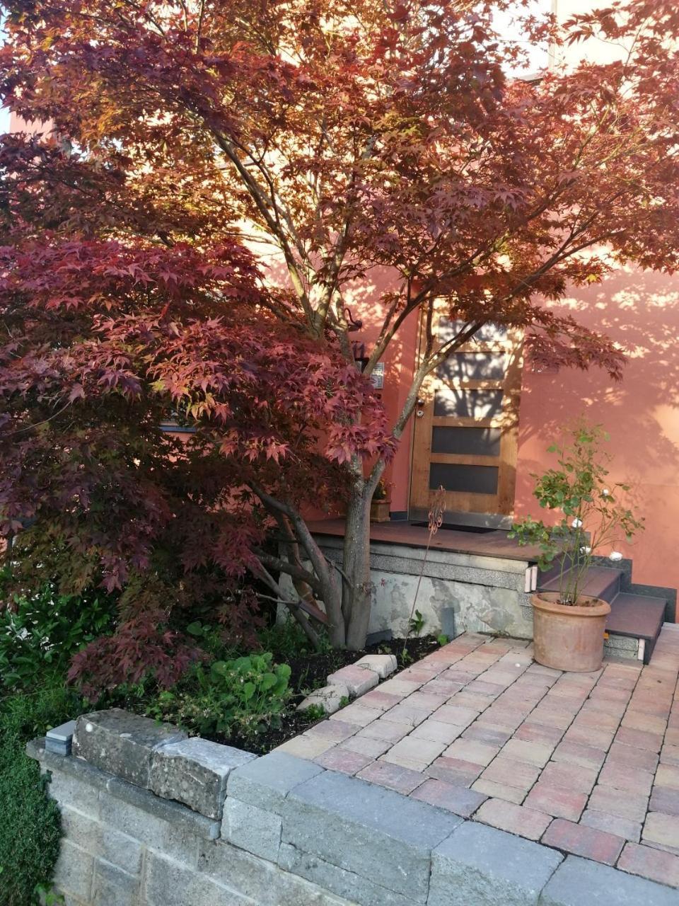 Haus Meersburg Garten المظهر الخارجي الصورة