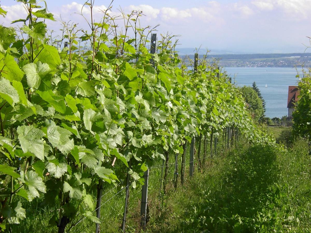 Haus Meersburg Garten المظهر الخارجي الصورة