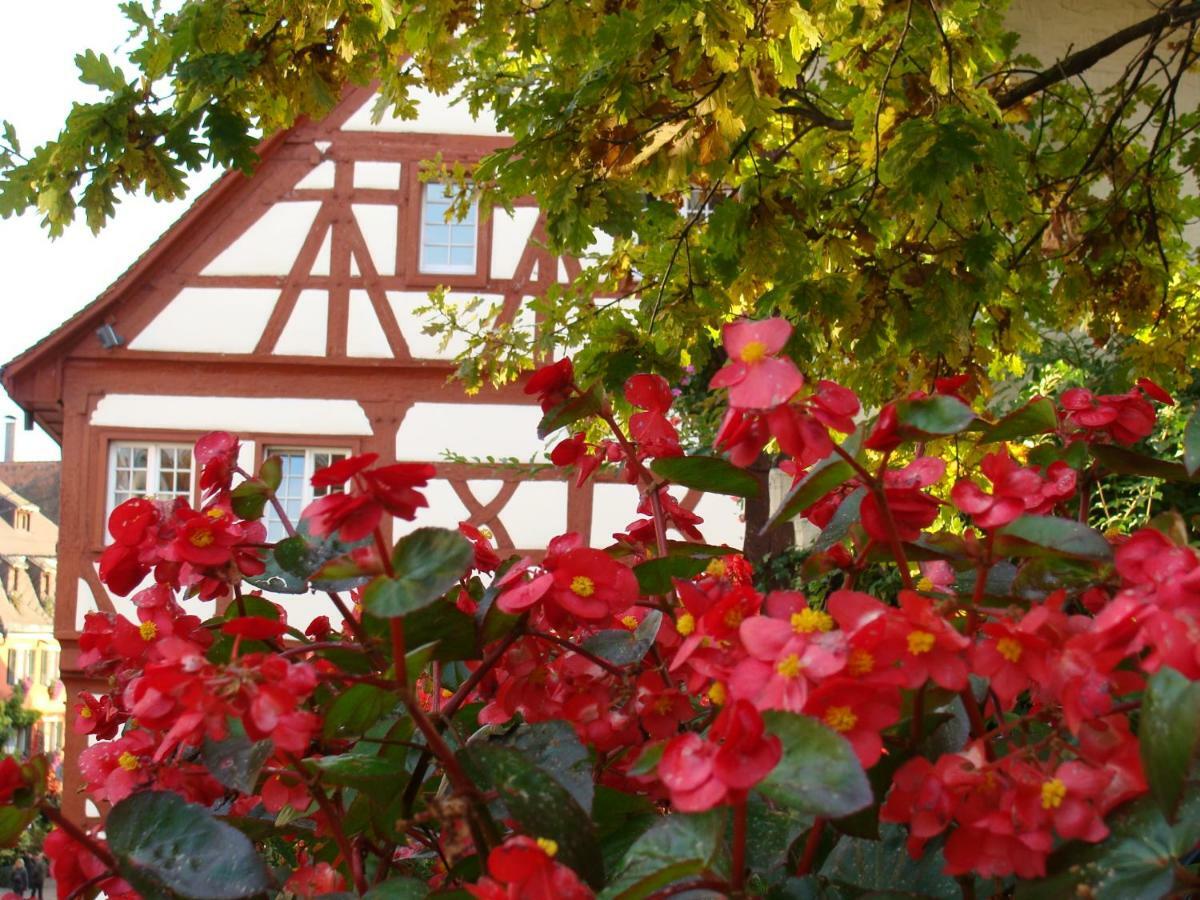 Haus Meersburg Garten المظهر الخارجي الصورة